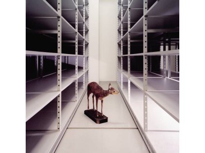 plys si mysli ze je vic ii musilova kamila 2