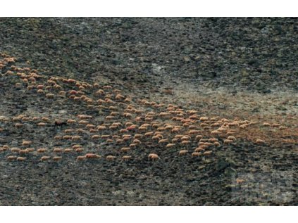 kurdistan ii 6 11 2006 11 04 mynar ales 560x355