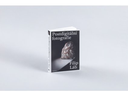 Postdigitální fotografie