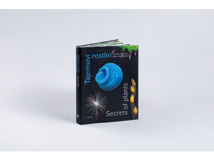 921 978 e2 80 9180 e2 80 91200 e2 80 911770 e2 80 913