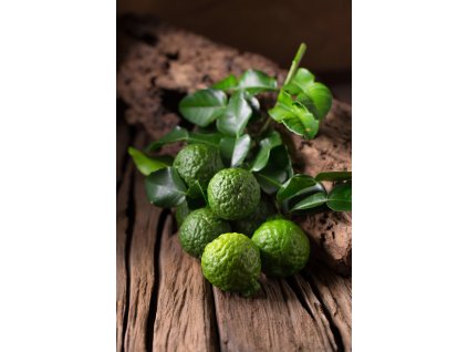 Bergamot