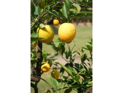 AdobeStock 1549721591