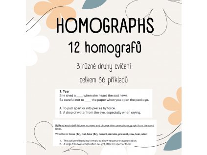 Homographs čtverec
