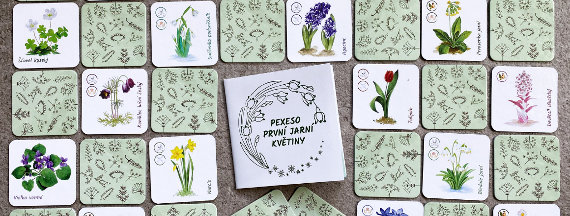 pexeso První jarní květiny