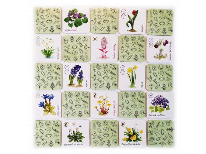 Prvni jarni kvetiny2