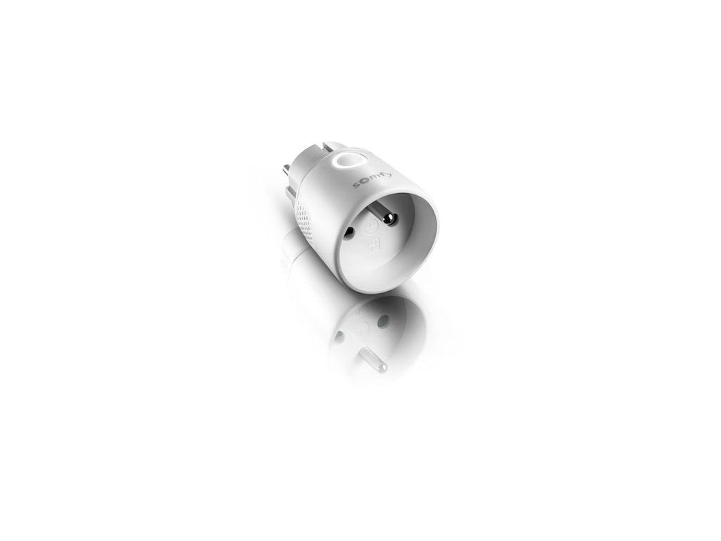 2a50a738 59f3 4001 aa35 87070e0b8688 SOMFY PLUG IO E TYPE STAR ON