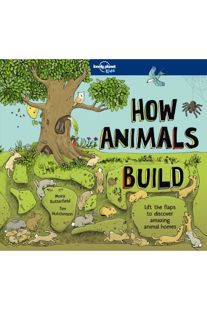 55384 How Animals Build 978178656620 cover