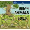 55384 How Animals Build 978178656620 cover
