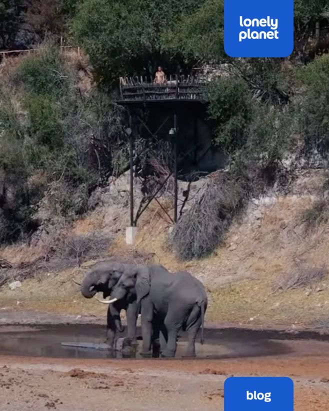 Nejlepší destinace pro safari v Africe - video 🐘🦁🦛🦒 Link v BIO 🌍 Je čas vyrazit na cestu!