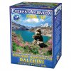 everest ayurveda dalchini dychaci cesty 100 g sypaneho caje 2130242 1000x1000 square