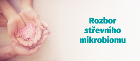 Rozbor střevního mikrobiomu