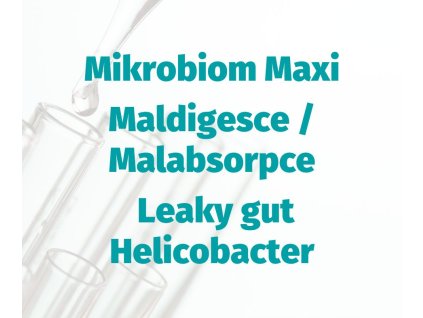 Mikrobiom Maxi + Maldigesce:Malabsorpce + Leaky gut + Helicobacter