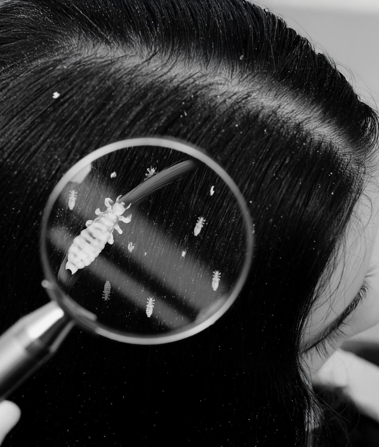 Šetrně proti vším