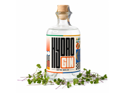 gin 2 předek