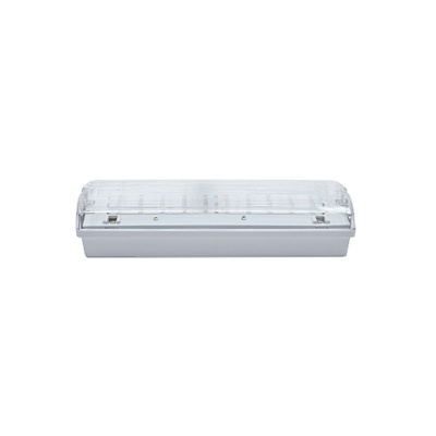 CARLA 30 LED 3h DP IP65