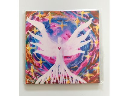 HVĚZDÁŘ - jdi za svými sny