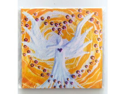 CESTA ÚSPĚCHU - zaměř se na své srdce