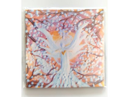 OCHRÁNCE - tvá křehkost je tvou sílou