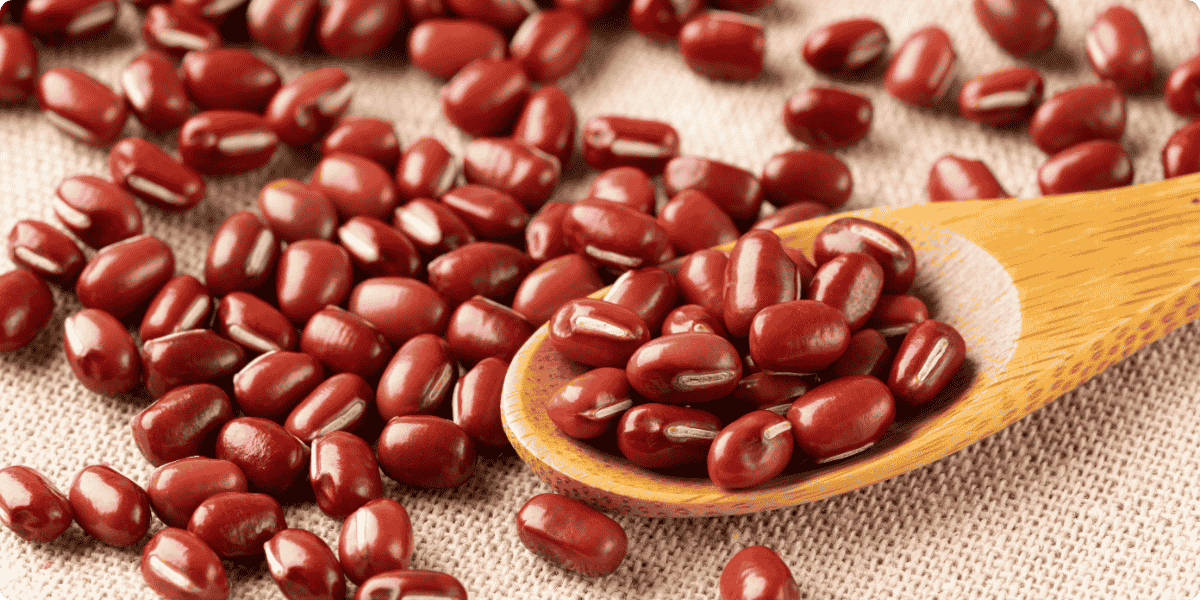 Jak připravit adzuki fazole a proč je zkusit