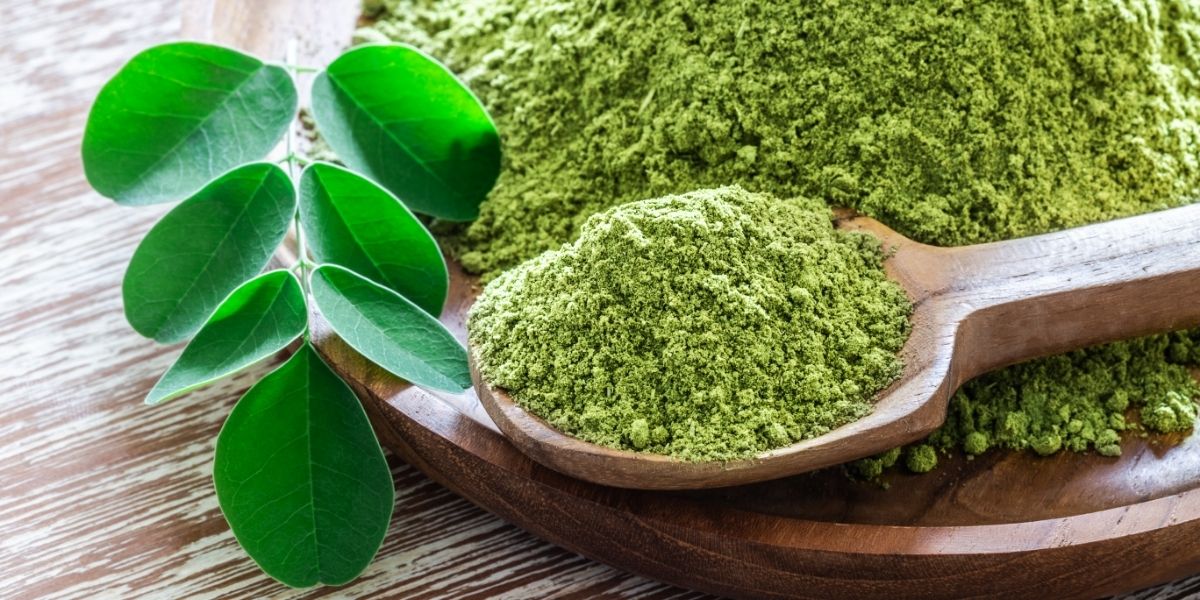 Fenomén moringa: Čím si získala pozornost lidí po celém světě?