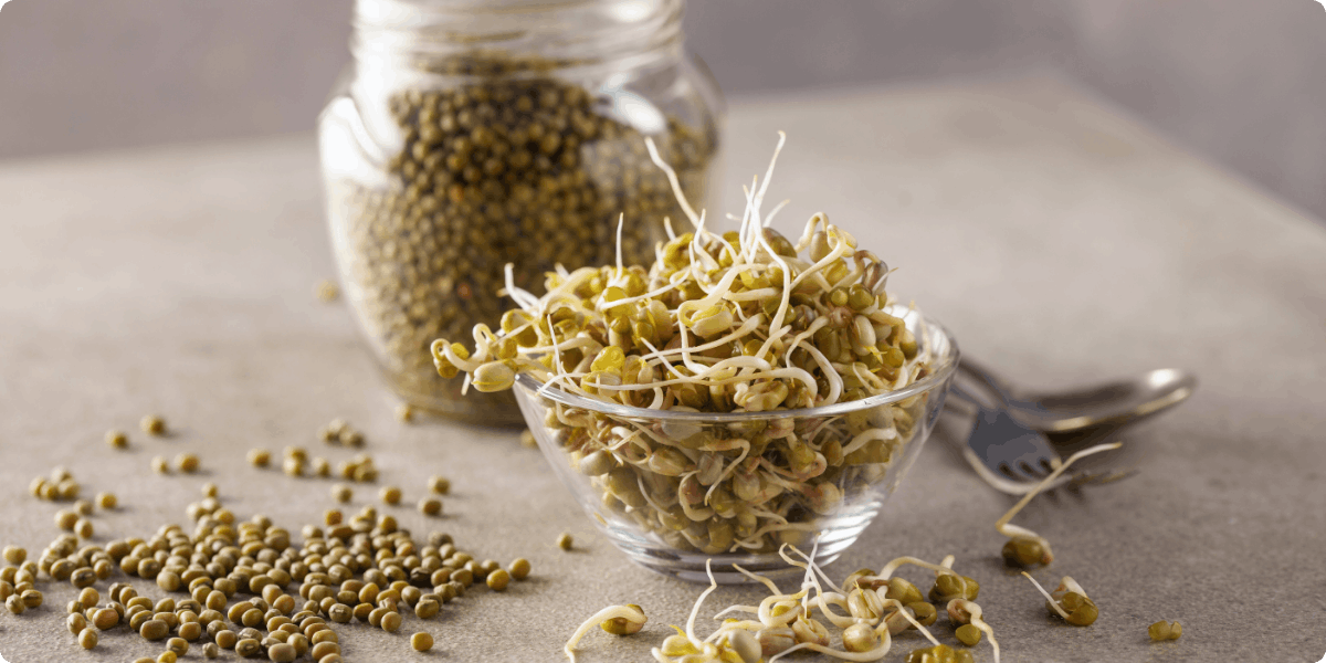 Mungo klíčky: Jak je pěstovat a využít v kuchyni