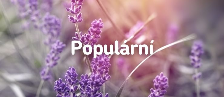 popularni-kategorie