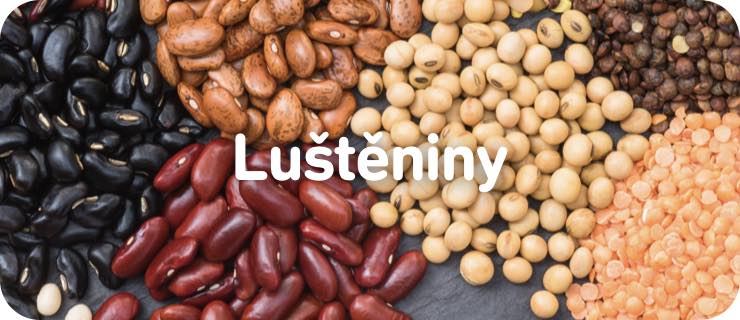 mobile-lusteniny@2x