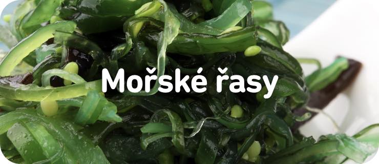 mobile-morske-rasy@2x