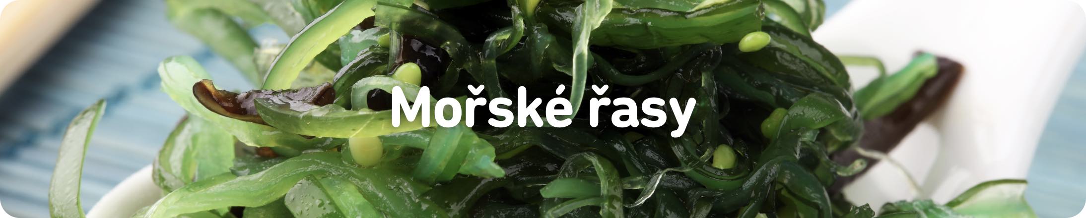 morske-rasy@2x