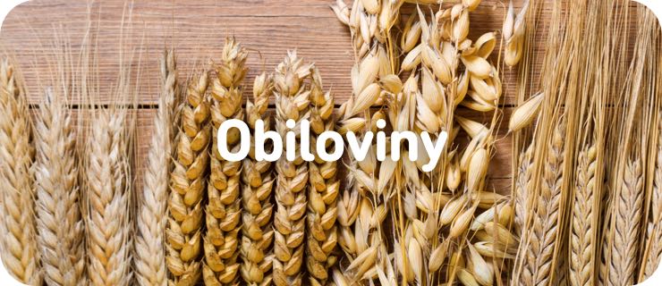 obiloviny-mob@2x
