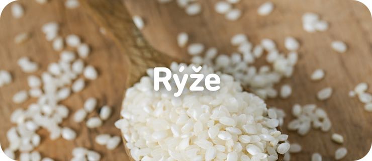 ryze-mob@2x