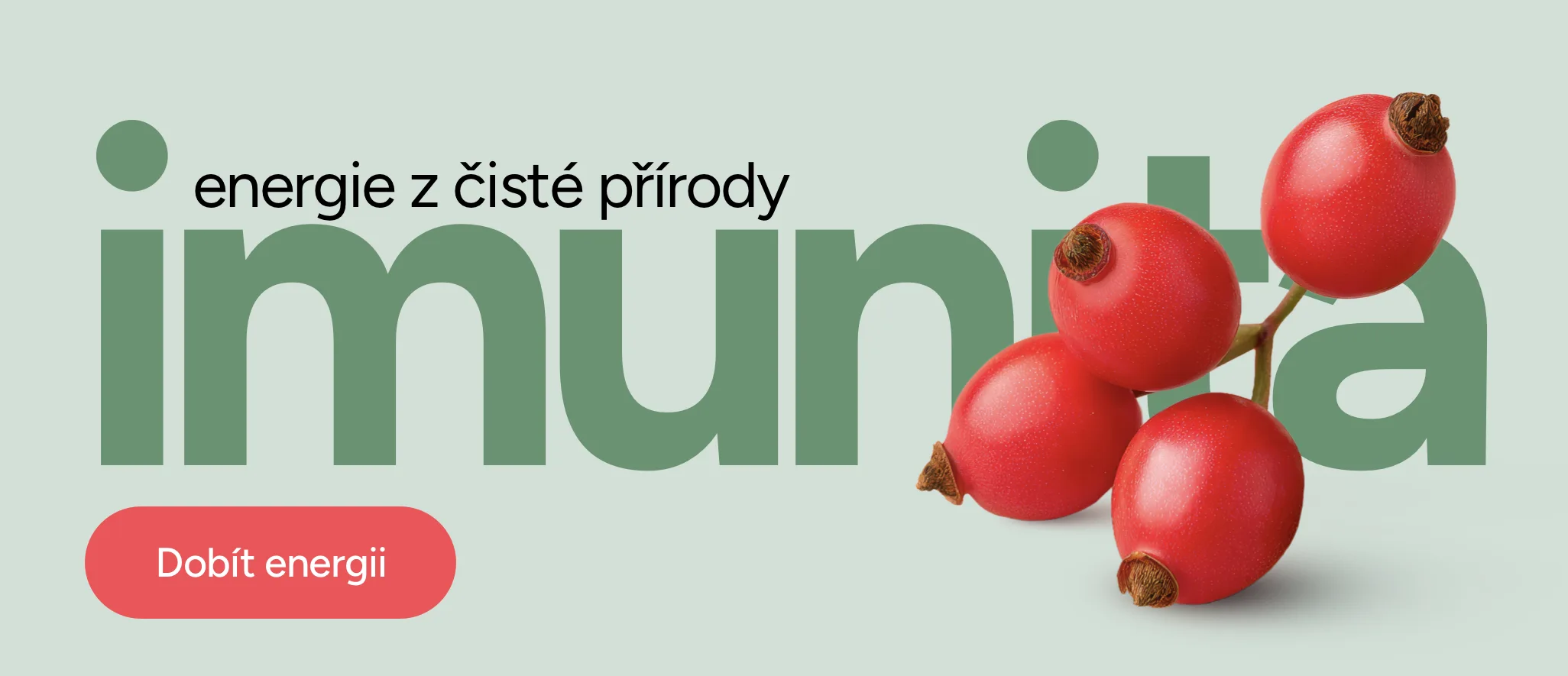 Vánoční pečení