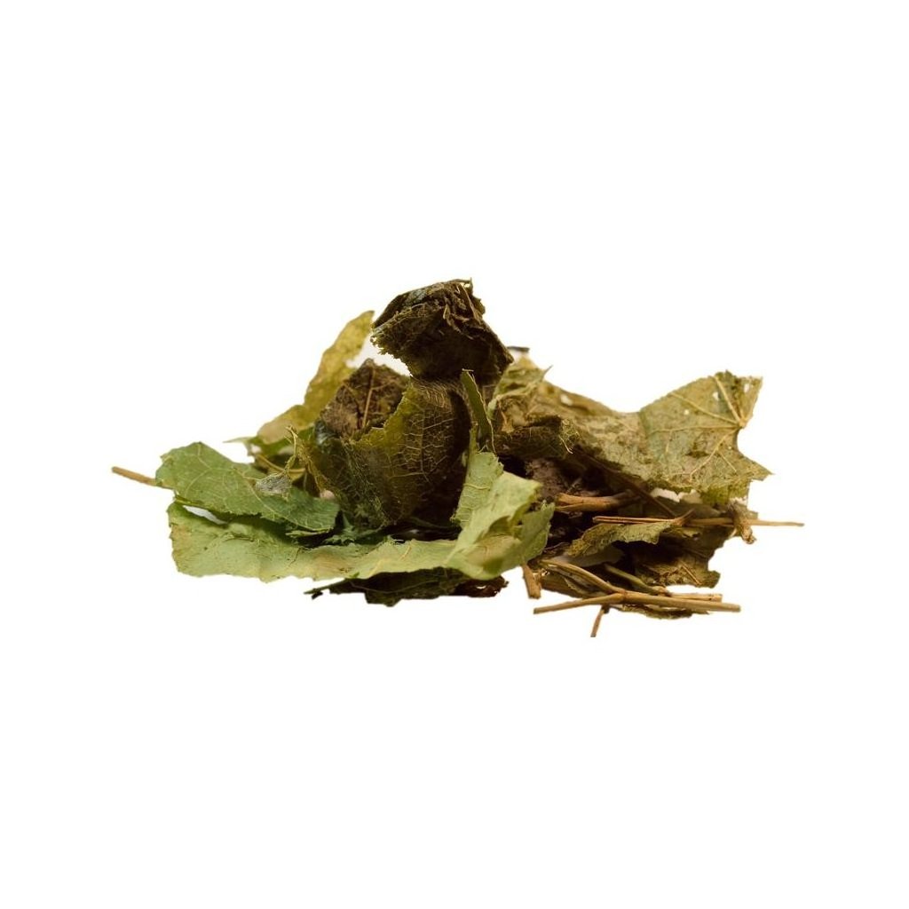 skornice-sipolista-suseny-list-salvia-paradise