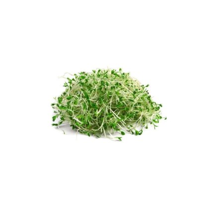 seminka-bio-na-kliceni-alfalfa-20g-biomiska