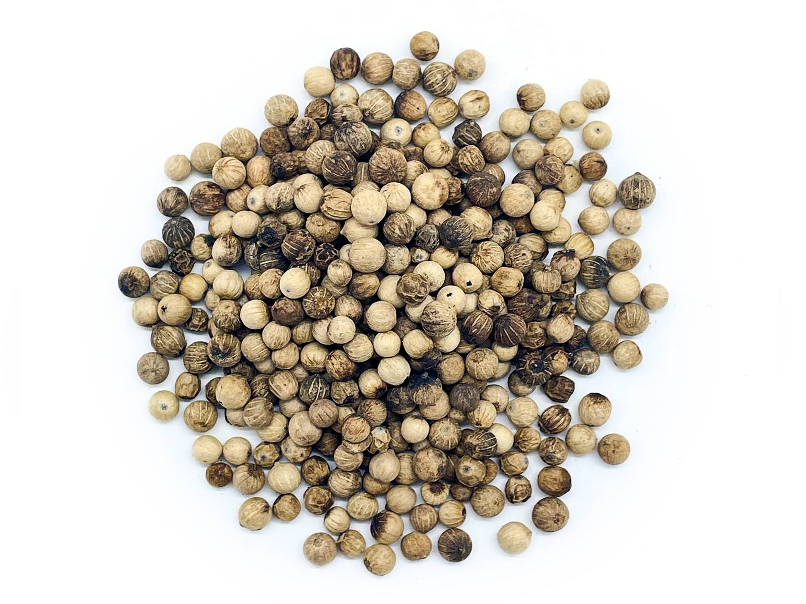 Pepř BIO bílý celý Balení: 1 kg