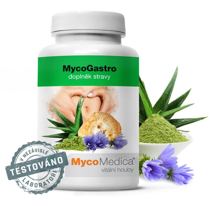 MycoGastro - sypká směs pro přípravu nápoje - 90 g