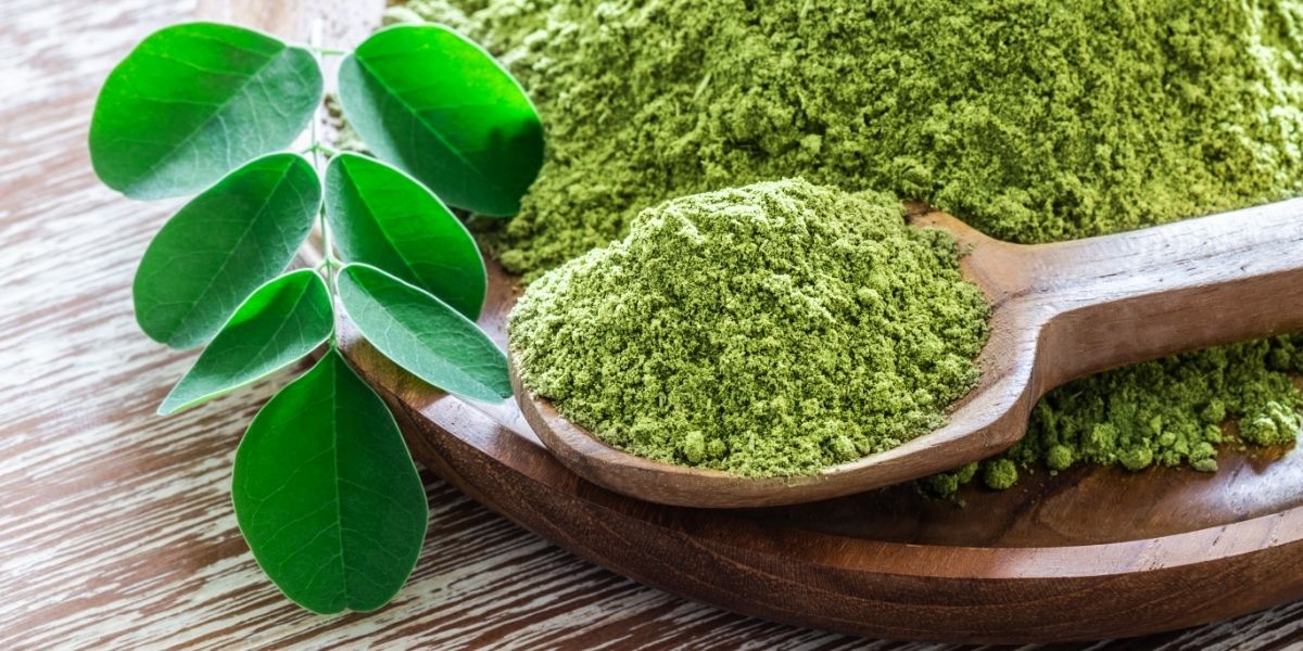 Fenomén moringa: Čím si získala pozornosť ľudí po celom svete?