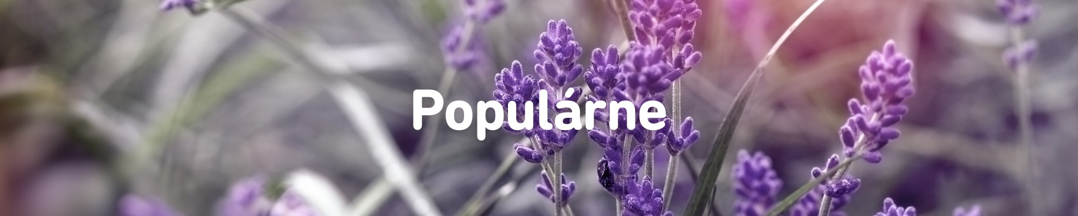 popularne-kategorie