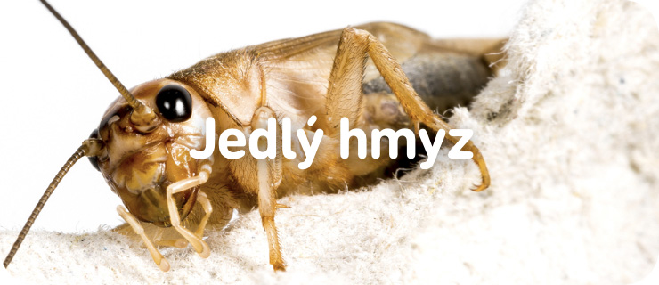 jedly-hmyz