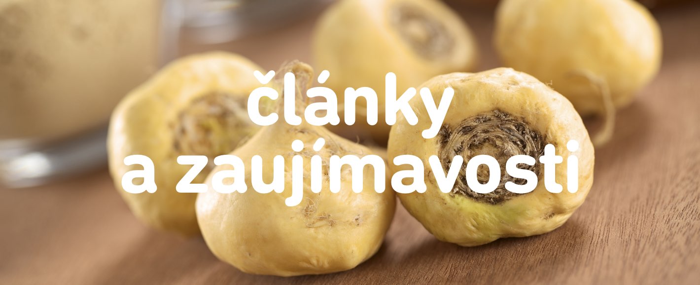 clanky-a-zaujimavosti