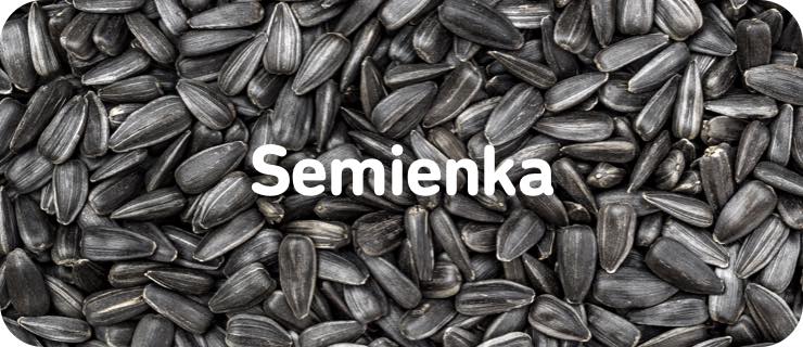 mobile-seminka@2x