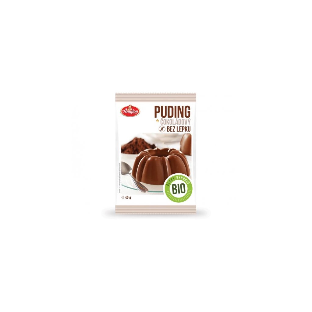 cokoladovy-puding-bio