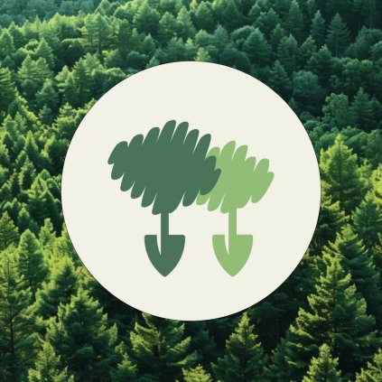 vysazeni-stromu-v-cesku-mamechut