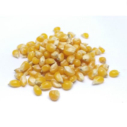kukurica-bio-na-popcorn-les-fruits-du-paradis