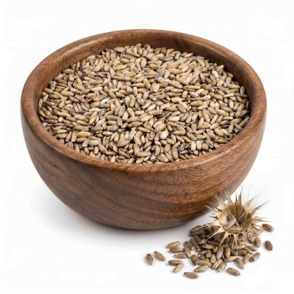 ostropestrec-seminko-mamechut