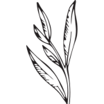 Bez alkoholu a syntetických fixátorů