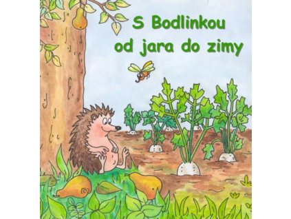 Bodlinka obal