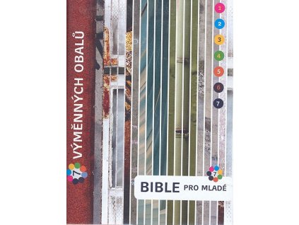 bible pro mlade 1
