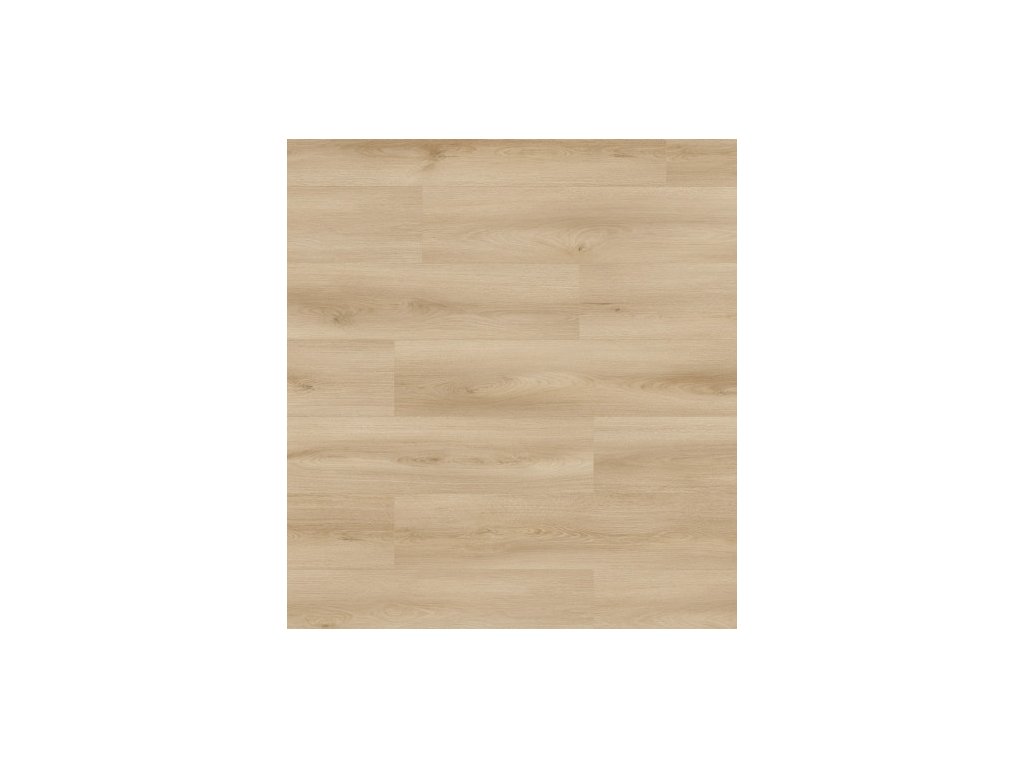files Atlantic8K653d v4 1288x195 frontal webDecor
