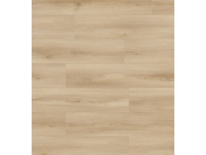 files Atlantic8K653d v4 1288x195 frontal webDecor